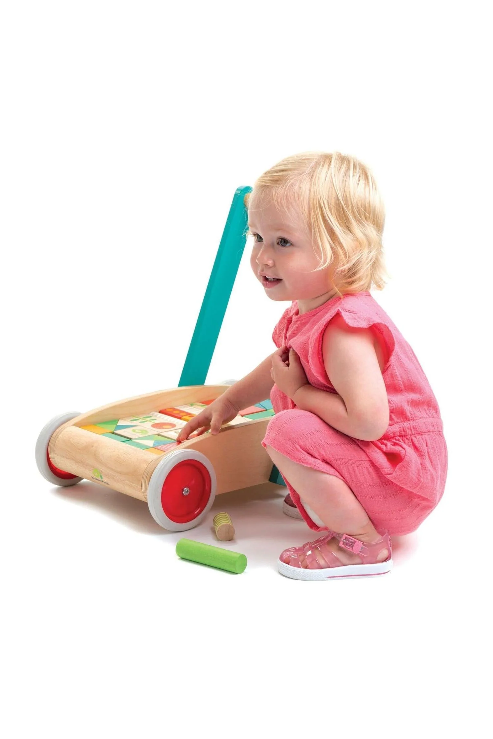 Tender Leaf Wooden Toys, Baby Block Walker - Image 5