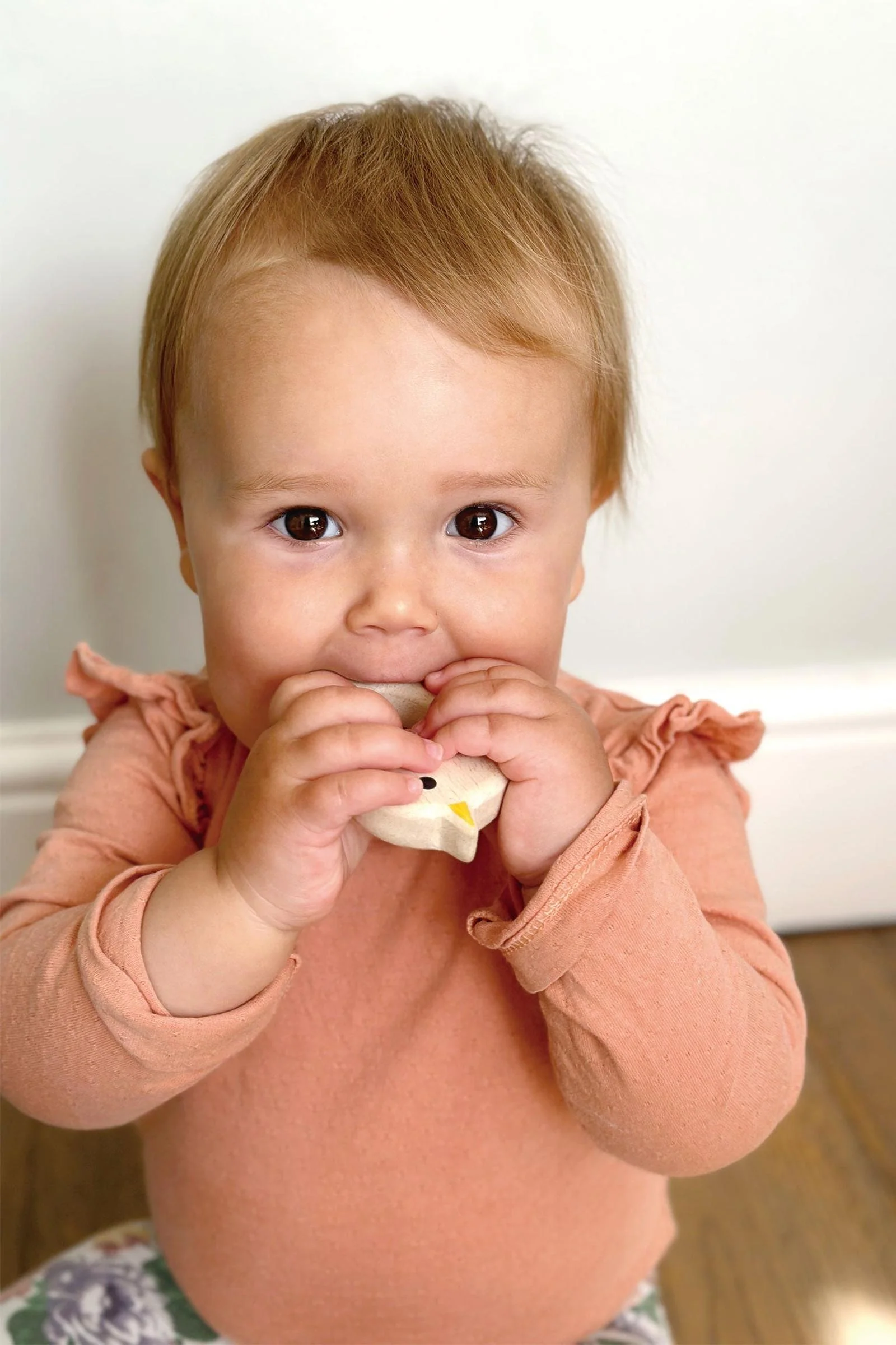 Baby Toy Bundle - Image 4