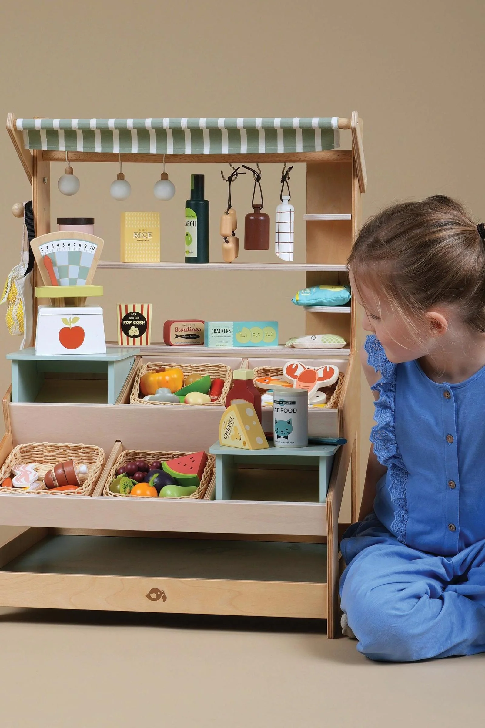 Tender Leaf Wooden Toys, General Stores, Award Winning Toy - Image 9