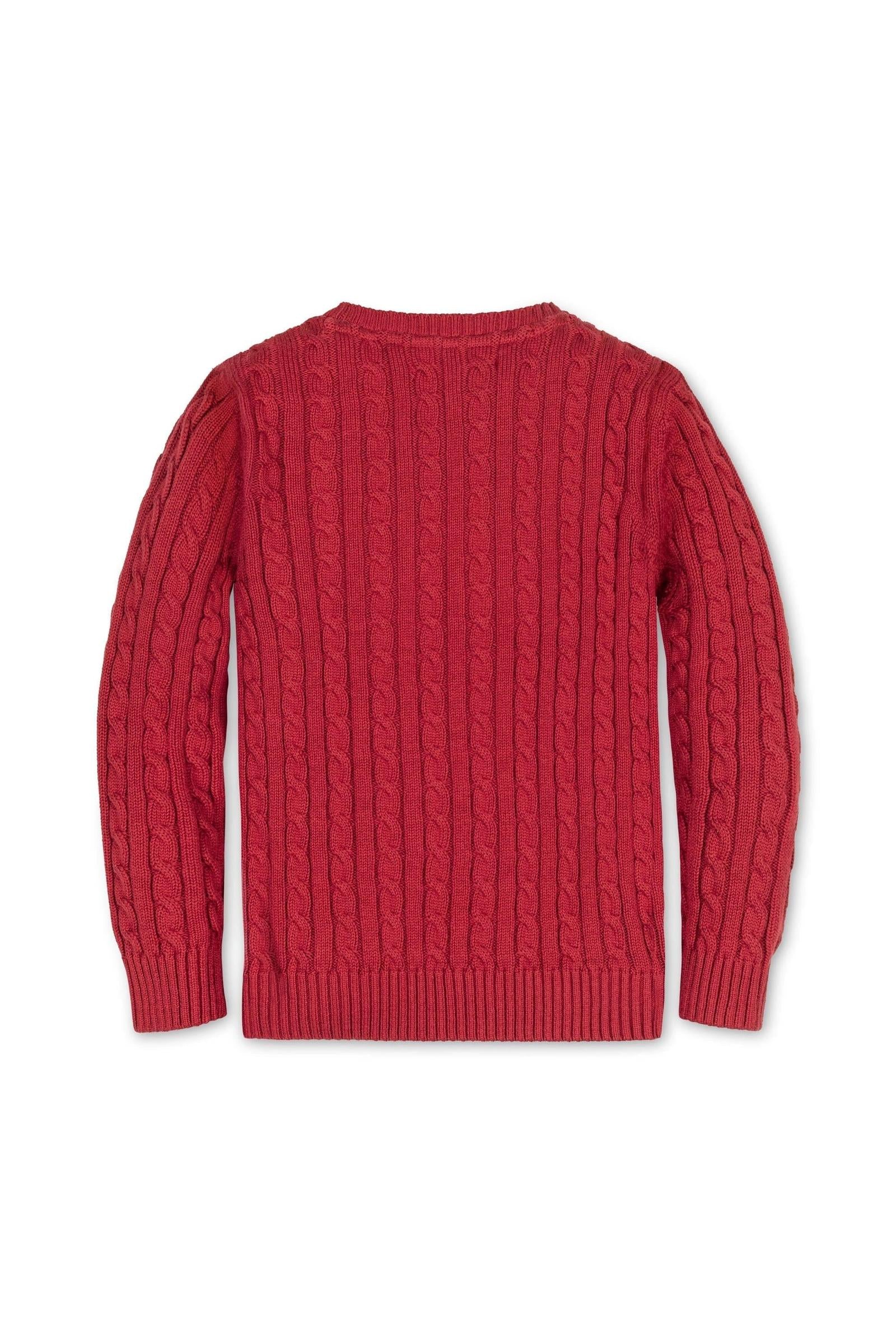 Hope & Henry Organic Cotton Cable Knit Crewneck Sweater for Boys, Red Solid, Sizes 2-16 - Image 4